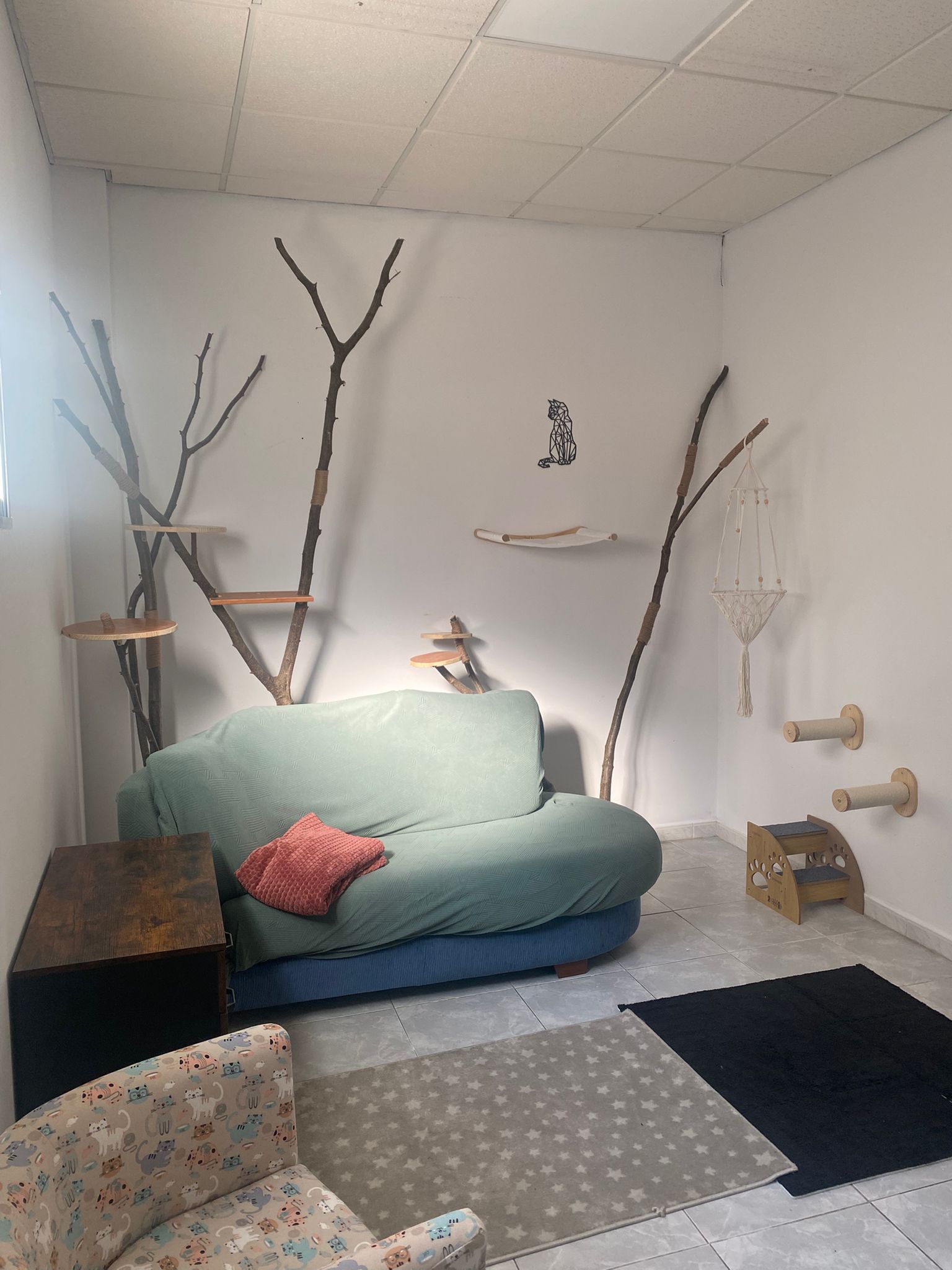 servicios-rehabilitacion-veterinaria