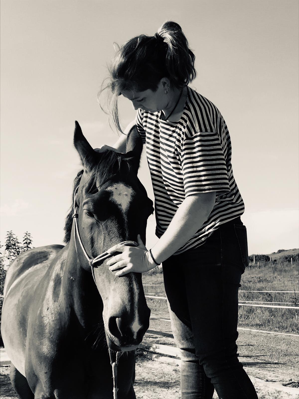 rehabilitacion-veterinaria-eqmotion rehabilitacion-eqmotion